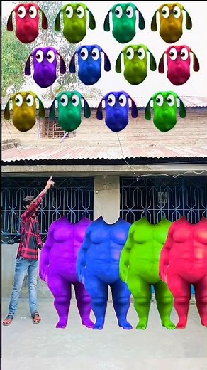 purple, blue green & red Fatty dog vs cute brothers head matching with tu Radha meri main🥰songs