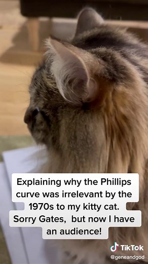 La curva de Phillips y su irrelevancia en los años 70