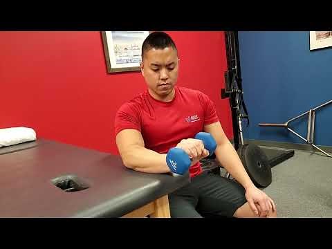 24 - Exercice de renforcement musculaire Concentrique des Extenseurs du Poignet