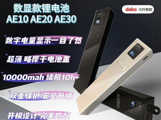 数显款罗兰AE10 AE20 AE30嵌入式锂电池详细说明