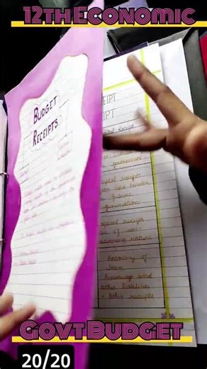 Economics Project 12th CBSE on Government Budget