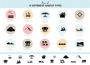 Lebensraumtypen von Tieren