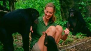 Critics are calling JANE "the year's best documentary." Visit www.JanetheMovie.com to find a theater near you. | National Geographic TV