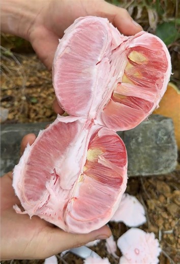 Delightful Fruit Cutting ASMR Experience