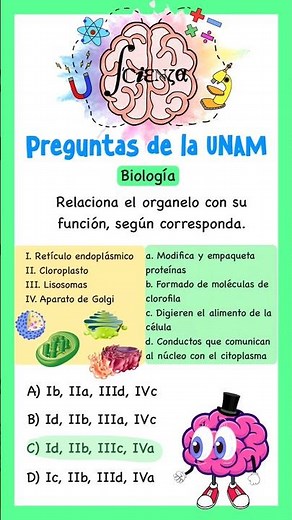 UNAM Exam - Biology - Cell organelles and their functions