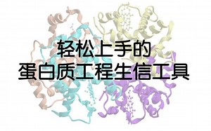 蛋白质工程的方法及生信工具
