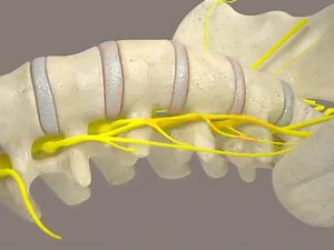 🩻 𝗛𝗮𝘃𝗲 𝘆𝗼𝘂 𝗯𝗲𝗲𝗻 𝗹𝗶𝘃𝗶𝗻𝗴 𝘄𝗶𝘁𝗵 𝗿𝗲𝗹𝗲𝗻𝘁𝗹𝗲𝘀𝘀 𝗯𝗮𝗰𝗸, 𝗻𝗲𝗰𝗸, 𝗼𝗿 𝗹𝗲𝗴 𝗽𝗮𝗶𝗻 𝘁𝗵𝗮𝘁 𝗷𝘂𝘀𝘁 𝘄𝗼𝗻’𝘁 𝗴𝗼 𝗮𝘄𝗮𝘆? You’ve tried everything: medications, injections, even physical therapy, but nothing seems to bring lasting relief. We understand how frustrating and exhausting that can be. But here’s the good news: there’s another way. Spinal Decompression helps those suffering from herniated discs, sciatica, chronic back pain, failed back surgery, and pinch