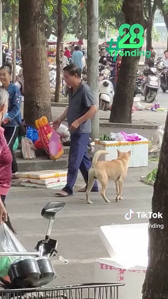 LÃO VÀNG VÀ CẬU HẠC ĐI CHỢ THỜI 4.0 =)))))) #theanh28trending #theanh28 #tiktoknews