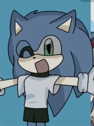 Exploring Sonic Animation Techniques in Looping Rooms