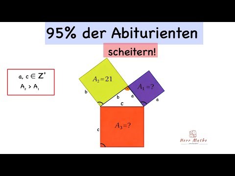 95% of high school graduates fail this task - an equation with two unknowns