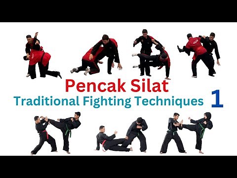 Traditional Silat Fighting Techniques Part 1