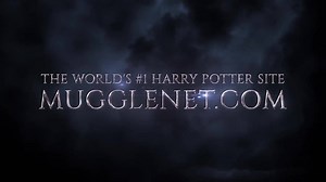 As the #1 Wizarding World fansite, MuggleNet is dedicated to honoring the magic by providing reliable, fun, informative news and content to our fans while fostering a welcoming, safe, and engaging environment. | MuggleNet.com