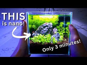 Planted tank that fits to your hand? I Made a Nano Shrimp Tank in 3 Minutes (No Filter!)