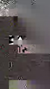 2.9M views · 86K reactions | @officialstaceydavid riding a V8-powered barstool? Norm Peterson and Cliff Clavin are jealous. #SpeedVision #gearznation #v8hub | Speedvision Media Group | Facebook