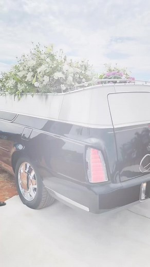 Celebrate Life at Molly's Funeral Home 🌹🌟