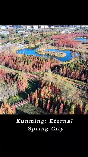 Kunming: China’s “Spring City” 🌸 | Stone Forest & Peaceful Parks