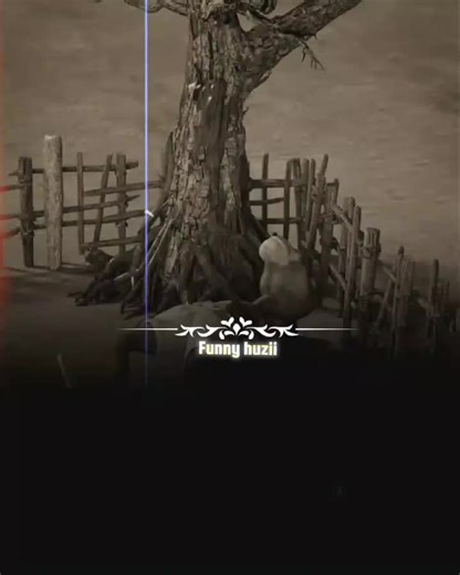 Hilarious Moments with Donkeys That Will Make You Laugh