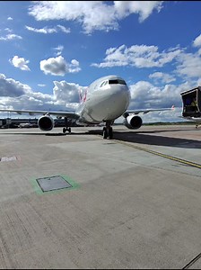 Why So Stressed? Passenger Struggles to Grab Bag in Row 32