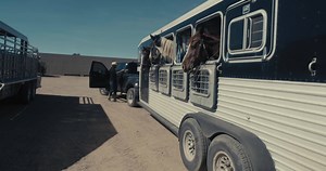 With everything that Donald Cowboy Cerrone does, if he had access to 85K acres, what would he do in a day? If you know Cowboy well, the answer might not surprise you. Riding horses, and racing around in a Can Am and pulling a CanAm Defender out of a ditch then tearing down an old airstrip is a pretty good way to spend a day in our opinion. | Donald "Cowboy" Cerrone