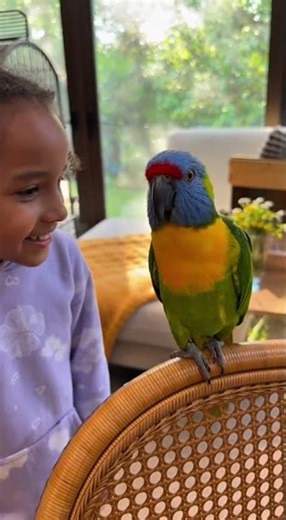 Parrot Repeats EVERYTHING This Girl Says! 😂🦜