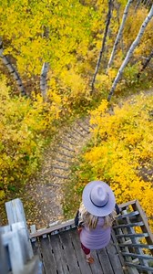 3.2K views · 38 reactions | I just travelled from Points North to Saskatoon and the fall colours are UNREAL right now! It’s officially peak autumn! There are so many great places to go “leaf peeping” and I shared a few of them here, link in bio https://www.thelostgirlsguide.com/saskatchewan-2/fall-colours-in-saskatchewan I’d highly recommend making plans this weekend as it will be so lovely out! | The Lost Girl's Guide to Finding the World | Facebook