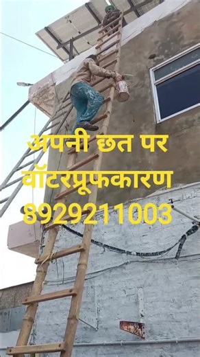 अपनी छत पर वॉटरप्रूफ कारण सीलन से छत कोबचे