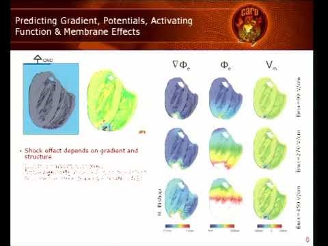 Prof. Gernot Plank | Using multiscale in-silico models of the heart for optimisation of......