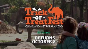 Cleveland Metroparks Zoo today announced tickets are on sale for the 2nd annual Trick-or-Treat Fest presented by Citizens. Bring your family in costume for this year’s family-friendly Halloween event at the Zoo, Fridays through Sundays from 10:30 a.m. to 3:30 p.m. beginning October 8 through October 31. Tickets are available now at FutureForWildlife.org/trickortreatfest. Read more at clevelandmetroparks.com/news. | Cleveland Metroparks Zoo