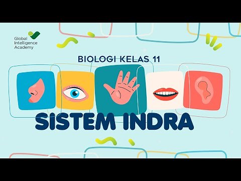 BIOLOGY Grade 11 - Coordination System (Sensory System) | GIA Academy