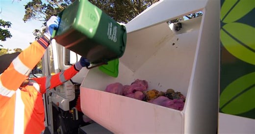 A year on, how has Auckland embraced food scrap bins?