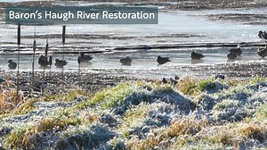 RSPB Scotland wants The Scottish Government to reconsider its decision to redirect five million pounds away from the Nature Restoration Fund. The NRF has made a huge difference for wildlife and communities. It’s important that everyone who cares about tackling the nature and climate emergencies lets the Scottish Government know this is the time to boost our commitment to nature not step back from it. Following this incredibly disappointing news it’s never been more important to give nature a voi