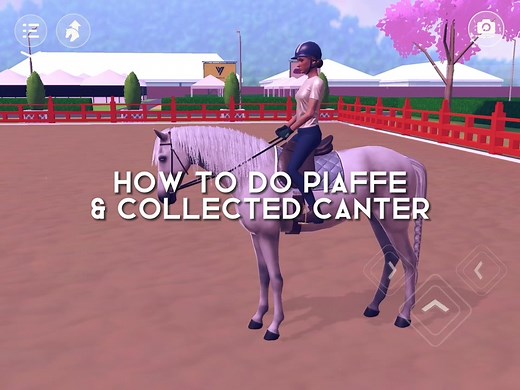 Master Piaffe & Collected Canter in Equestrian The Game