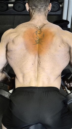 How to Train Traps - key to a full, thick back | Fit Media Channel