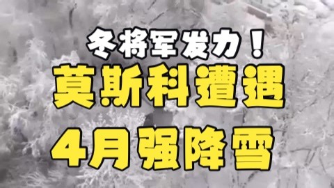 冬将军发力！莫斯科遭遇4月底罕见强降雪，市区积雪12厘米破纪录，城区交通陷入瘫痪