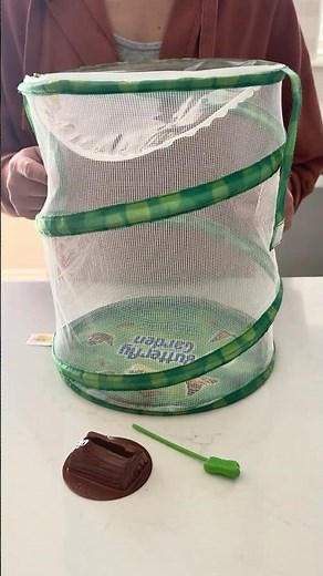 Insect Lore Butterfly Garden Kit Review | 2 Summers of Use (STEM Kit)