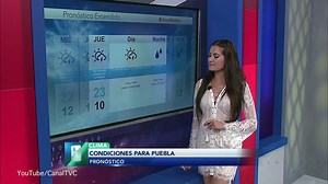 Weather girl Lourdes Figueroa wears sheer dress to present forecast
