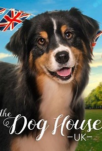 The Dog House: UK: Season 5, Episode 10 | Cast and Crew  | Rotten Tomatoes