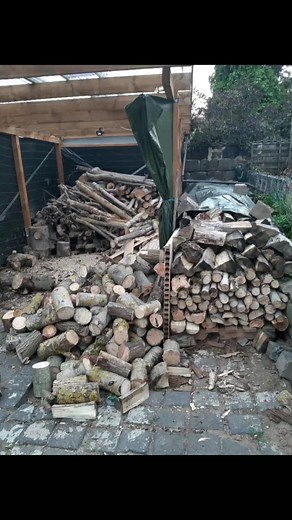 Chopped Firewood Stack Overview in Outdoor Setting