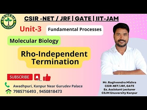 Rho-Independent Termination | RNA synthesis | Prokaryotic Transcription | Lecture-18