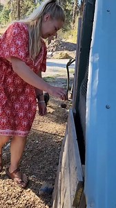 89K views · 3.3K reactions | Ranger, our puppy is helping me let the angry geese out  #germanshepherdpuppy #germanshepherd #farmlife #homesteadlife | Mountain Spring Homestead | Facebook