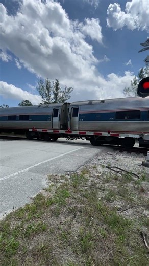 Amtrak Silver Star Northbound(Archive)