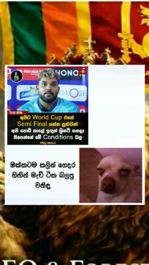 wanidu hasaranga#cricket #cricketlover