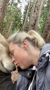 3.5K views · 409 reactions | Introducing the Puppy Pack! I could spend all day up here with them!! But we have over 100 animals to care for, so I feel blessed for these moments I get alone with them. Thank You for Your Support!  #howling #pnwlife #wolfdogs #wolfpack #becausewematter  | Because We Matter | Facebook