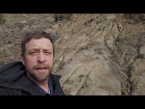 Alien Landscapes, New Petrified Wood And Agate Deposits Found Rockhounding Central Oregon