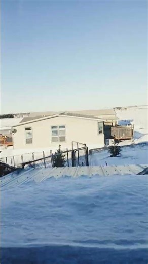 cracked my screen protector