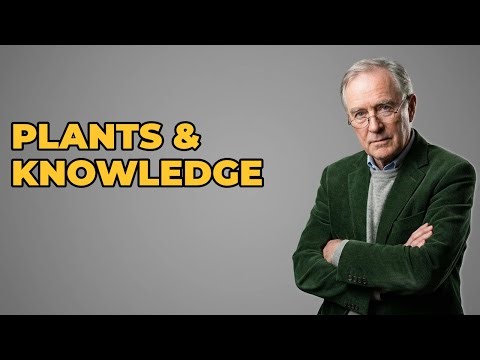 How Is Ethnobotanical Knowledge Shaped By Biodiversity?