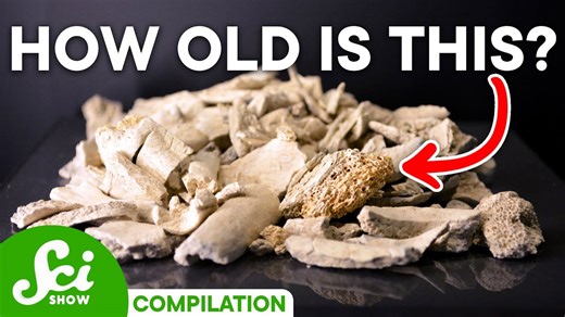 How we learn about ancient history using carbon | Carbon dating compilation