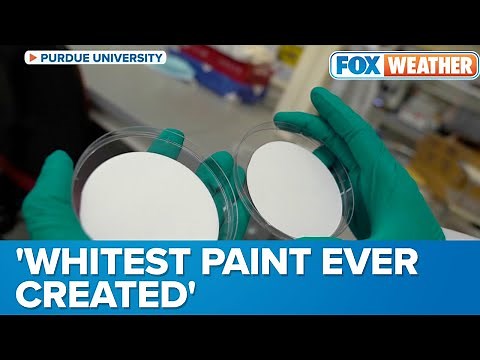 'Whitest Paint Ever Created': New Reflective Paint Would Direct Heat Away From Homes