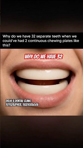 Why 32 Separate Teeth Instead of 2 Big Biting Plates ? 🦷 | ‪@BeingDental‬