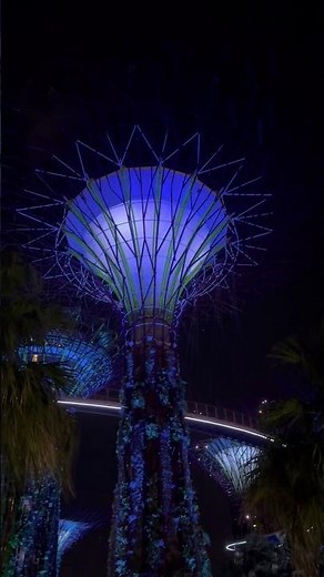 Gardens by the Bay by Night 🪾🌴